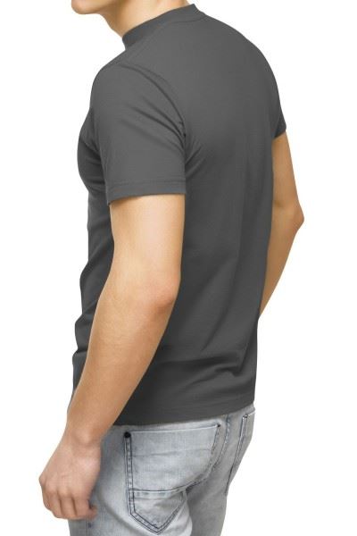 Футболка мужская Print031, серый купить за 1190 ₽ в магазине «Аматис»