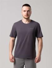 Футболка мужская STROBBS E2535-1, серый