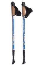 Палки для скандинавской ходьбы WIN BLUE система антишок