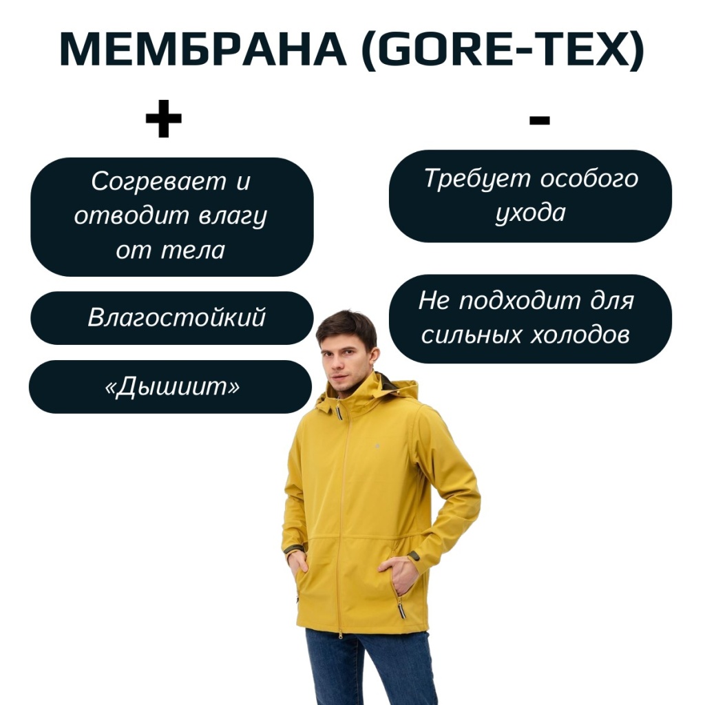 membrana.jpg