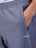 Брюки мужские STROBBS E2307-1, серый купить за 0 ₽ в магазине «Аматис»