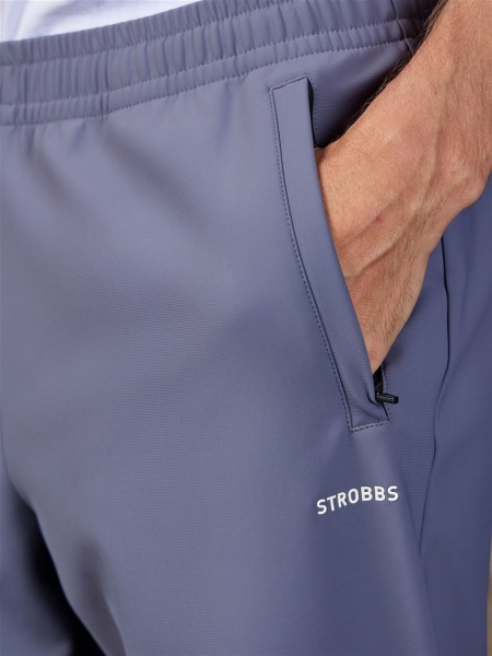 Брюки мужские STROBBS E2307-1, серый купить за 0 ₽ в магазине «Аматис»