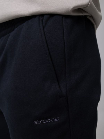Брюки мужские STROBBS E2579-3, черный купить за 3730 ₽ в магазине «Аматис»