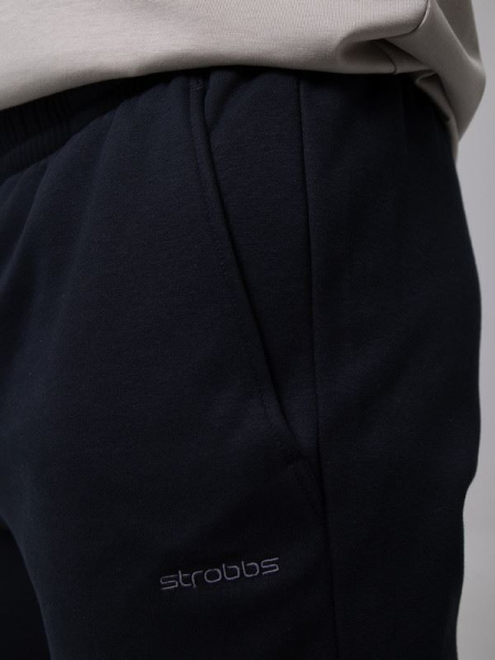 Брюки мужские STROBBS E2579-3, черный купить за 3730 ₽ в магазине «Аматис»