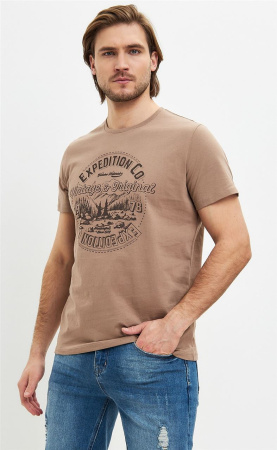 Футболка мужская F411-06-836  купить за 890 ₽ в магазине «Аматис»