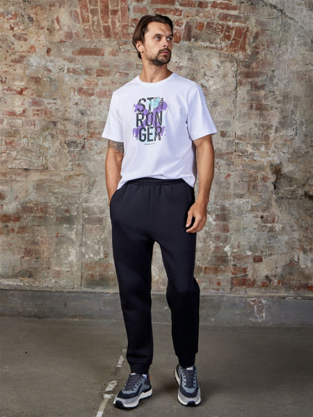 Брюки мужские STROBBS E2310-3, черный купить за 2970 ₽ в магазине «Аматис»